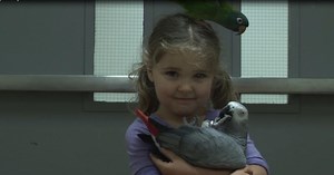 NWN Digital First Flight Club