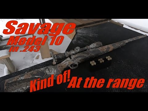 Savage Model 10 in .243