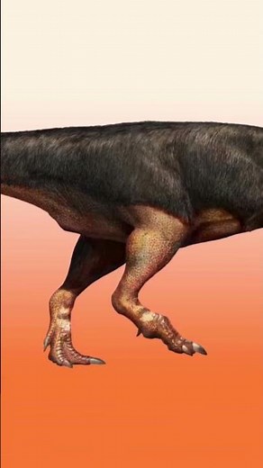 #carnotaurus #paleontology #dinosaur