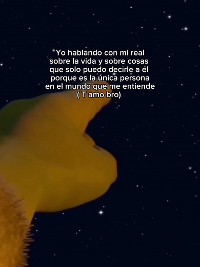 Understanding True Friendship: Shrek and Burro Moments