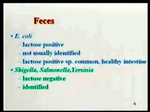 2.17. Enterobacteriaceae-I - Medical Microbiology