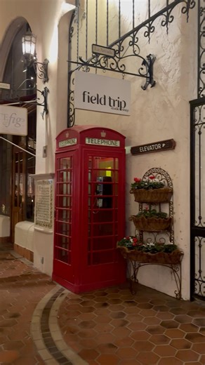 Downtown Santa Barbara glowing with Christmas lights ✨🎄 Coastal charm meets holiday magic.
