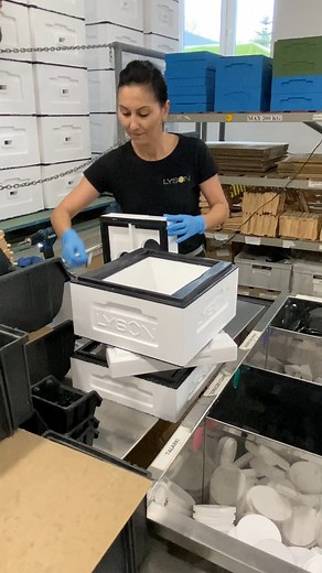 12K views · 180 reactions |  Today, we’re taking you behind the scenes of our beehive production!  Watch as one of our dedicated team members carefully assembles and prepares the Mini Hive Classic for shipping. Every detail matters, and our passion shows in the craftsmanship. #BehindTheScenes #BeehiveProduction #MiniHiveClassic #Craftsmanship #MadeWithCare #Beehive #Beekeeping #HowIsItMade | Lyson International | Facebook