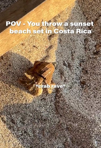 DIY Driftwood Table for Beach Party Fun