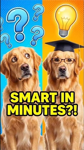 Wait… This Training Made My Dog Smarter FAST! 🤯🐶