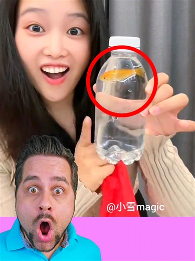 This Magic Fish Real or Fake? 🐠😱