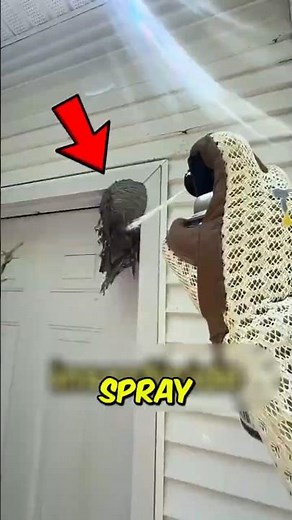 ⚠️ Never Spray a Wasp Nest Until You See This! 😱🐝