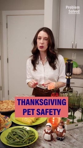 Thanksgiving foods dogs and cats can and can't eat