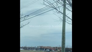 13K views · 115 reactions | Shelby Township: PD & FD on the 22000 block of Orchard Crest for a child that’s not breathing. Caller says that the child is breathing but still unconscious. | Macomb County Scanner | Facebook