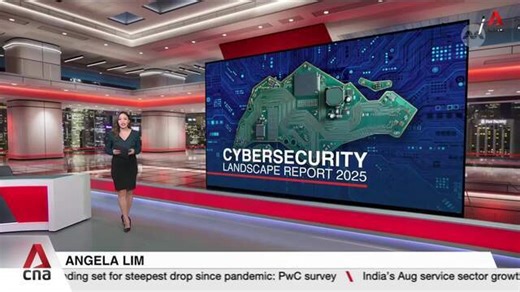 Over 117,000 systems in Singapore infected by malware last year, 67% jump from 2023: CSA report