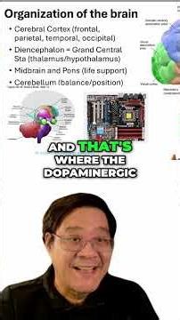 #23 Brain Anatomy - Understanding Cerebral Cortex and Parkinson's