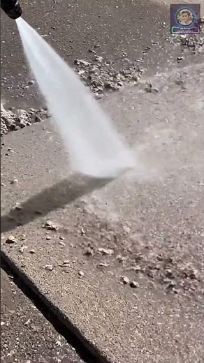 Bird Droppings Removal — Insanely Clean Finish 🐦💦