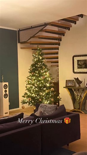 Instagram video by David Garrett • Dec 24, 2025 at 1:37 PM