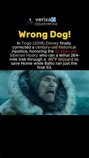 In Togo (2019) the true canine hero conquered 264 miles across lethal Arctic ice. #movietrivia