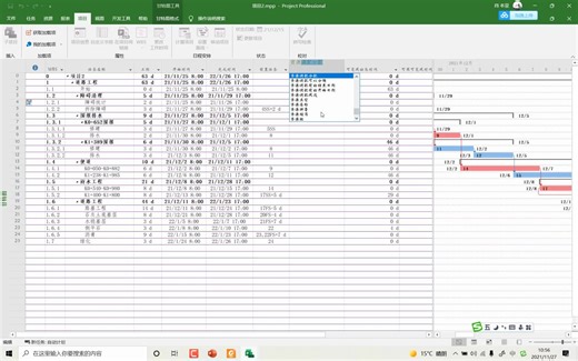 PROJECT使用-成本与资金流量表