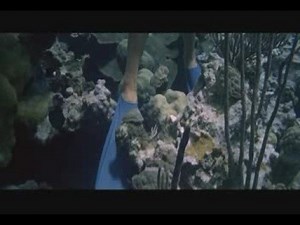 Girl Snorkeling Gets Her Dive Fins Stuck Between The rock