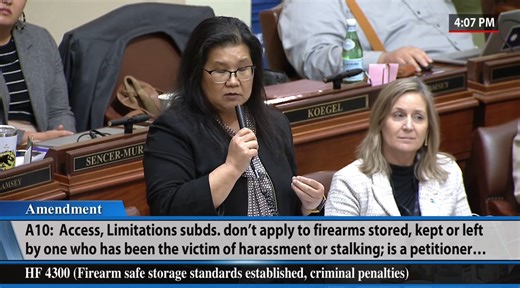 MN Democrat Kaohly Vang Her suggests that victims of stalking or harassment, or those who have an active restraining order filed, don’t have enough training to be allowed easy access to their firearms. | Alpha News