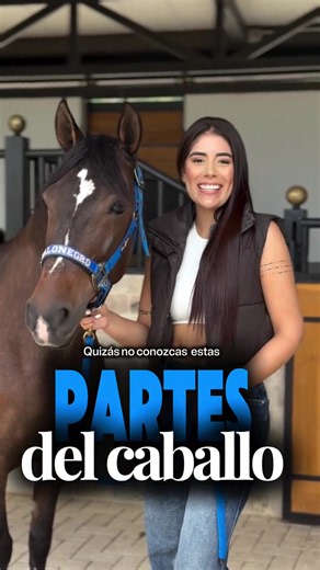 Partes de los caballos que quizás no conocías ✨🐴 #caballos #aprende #equino