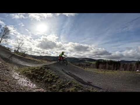 Black Taster Shark fin