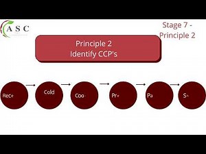 Part 3: The 7 Principles of HACCP Explained