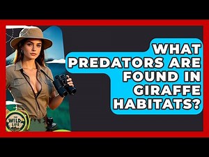 What Predators Are Found In Giraffe Habitats? - The Wild Life Explorer