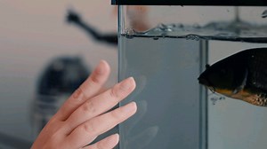 【佳能Eos R视频测试】4K转1080P与自动对焦