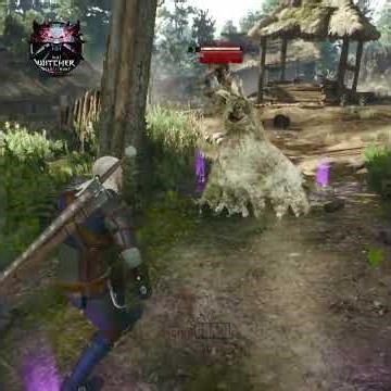 Ghost By The Well - The Witcher 3 Wild Hunt