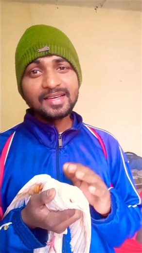 Mohammed Aziz ke gane MP3 short video training #song #hindisong #viralsong #lyrical #popularsong