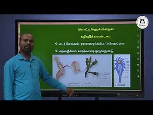 PHYLUM : PLATYHELMINTHES ( FLAT WORMS ) | NEET | ZOOLOGY
