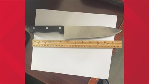 Student charged after 12-inch butcher knife found at Carver High School, deputies say