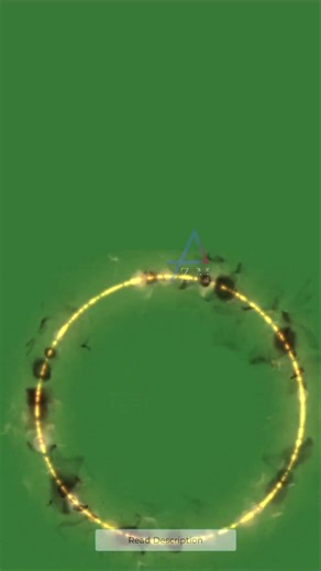 Fire Ring Loop on Green Screen Background. Free Vertical Video Animation