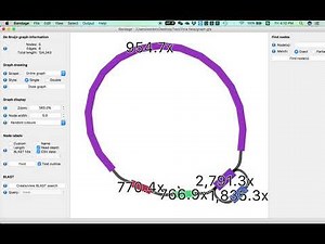 How to use Bandage for visualizing and editing the FASTG files