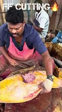KASIMEDU 🔥 SPEED SELVAM RAY FISH CUTTING VIDEO FF CUTTING 🔪