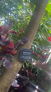 36K views · 758 reactions | It’s a sweet day – our Horticulture team...