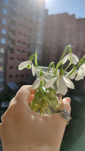 Buongiorno ☀️ #russia #2026 #spring