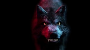 Scary Wolf: The monster comes out of the dark, growls and bites. Disturbing lighting of the animal creates a horror atmosphere.