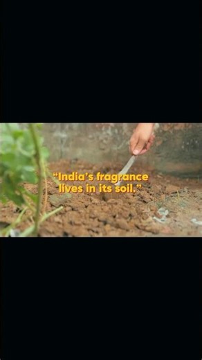 Soil of India 🌾 | Where Culture Grows | Cinematic Farming Video • Surrjeet Yadav