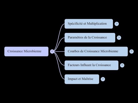 Chapitre 2 : croissance microbienne (Le multiplicateur invisible)