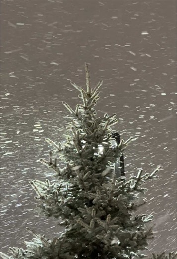 Belleza del Tormentón de Nieve en Detroit