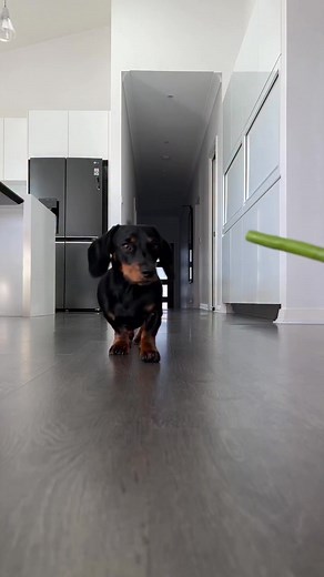 3.3K views · 220 reactions | Unit tries green beans for the first time | Emily Johnson | Facebook