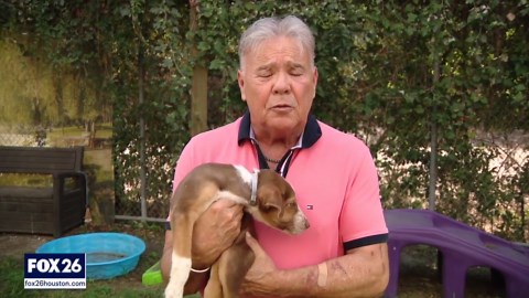 Advocates urging pet adoptions over purchasing at pet stores