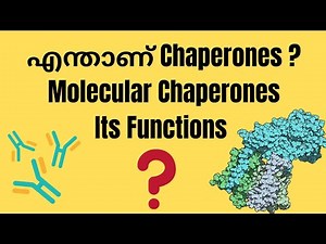 CHAPERONES || WHAT IS CHAPERONE AND WHAT IS ITS FUNCTIONS ? || SIMPLIFIED LECTURE || LIFESCIENCE