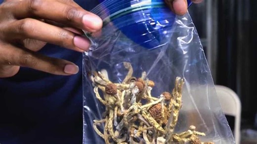 What to know about microdosing psychedelics