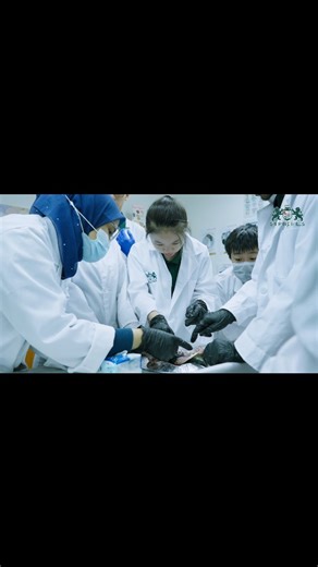 Sri Pine Hills Private School on Instagram: "Frog dissection - Hands on lesson in Frog Anatomy! A practical learning activity allowing students to examine real-life anatomical structures. #ScienceInAction #Biology #Sripinehillsprivateschool #Experiment"