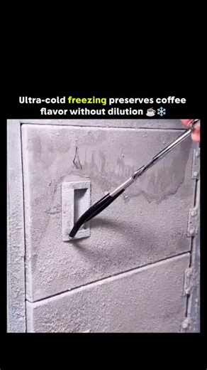 Explaining Everything ™ on Instagram: "Preparation and Technique Cryogenic Preservation: The cafe uses a laboratory-grade freezer set to \(-86^{\circ }\text{C}\) to store coffee grounds or brewed concentrate. Scientifically, this halts enzymatic reactions and oxidation, preserving the coffee's aroma and flavour compounds indefinitely.The Serving Process: Baristas extract the ultra-frozen coffee concentrate and pour milk and syrup over it. The extreme temperature of the concentrate instantly chil