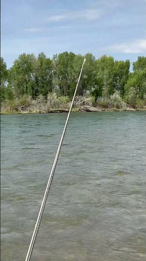 How to fish the Snake River