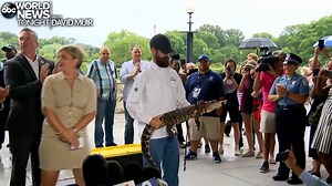 13K views · 146 reactions | GATOR BAIT: Authorities have announced the 5-foot alligator dubbed “Chance the Snapper” has been caught in Chicago’s Humboldt Park after almost a week on the loose, causing a partial shutdown of the park; Florida alligator expert Frank Robb was brought to Chicago to help lead the effort to capture the infamous reptile. https://abcn.ws/2jOcmPR | ABC World News Tonight with David Muir | Facebook