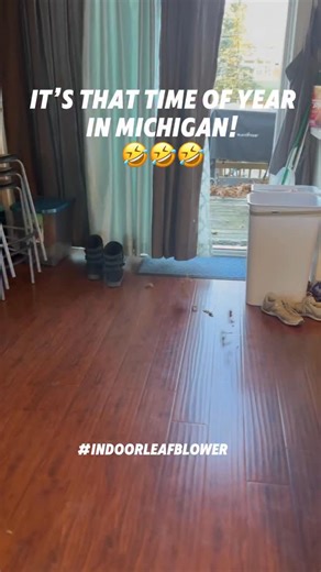 1.4K views · 3 comments | The leaves are everywhere! Get yourself a small leaf blower you can use indoors - you can thank me later藍藍藍 #michigan #fallinmichigan | Producer Rachel | Facebook