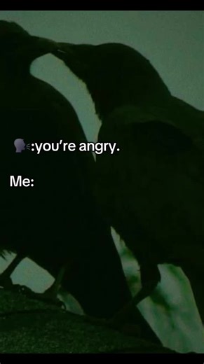 ☆TheRealIvanAlien☆ (@therealivanalien)’s video of when your angry