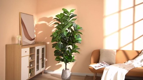 FLOWORLD Fiddle Leaf Fig Tree 6ft Tall Artificial Tree in Plastic Pot Fake Ficus Lyrata Plants with 184 Decorative Fiddle Leaves Faux Fig Trees for Home Office Living Room Decor Indoor Outdoor
